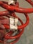 Loading Image 1 of 1