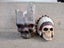 Decorative Skulls Decor Carousel 1