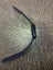 Apple Watch Series 8 45mm(GPS+Cellular) Carousel 6