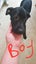 Looking for loving forever homes for our beautiful pups Carousel 2