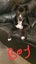 Looking for loving forever homes for our beautiful pups Carousel 3