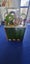 Wooden Activity Zany Zoo Carousel 5