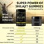 Himalayan Shilajit Gummies Clearance Clearance Carousel 10