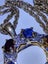 Genuine rare sapphire, garnet, peridot & sapphire 14kt gdp pendant & chain Carousel 3