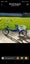 Disability Bike/Trike With Cart Carousel 1
