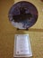 Beautiful display fine porcelain plate bordered 24carat gold Spirit of West Wind Carousel 1