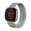 Fitbit Sense Strap Band L Carousel 14