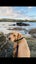Nala 5yr Girl Mixed Breed Dog Orewa Carousel 4
