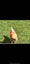 Loading Image 1 of 2