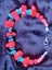 Genuine Red & pink coral, appetite & blue silicate bracelet Carousel 6