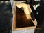 Loading Image 4 of 4