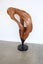 “Solace in Motion” – Hand-Carved Mahogany Sculpture Carousel 4