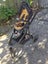 Phil and Ted's pram with double seat Carousel 7
