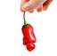 Loading Image 1 of 4