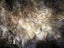 Possum Fur Full Bed Throw Clearance Sale (Final Sale) Carousel 3