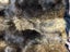 Possum Fur Full Bed Throw Clearance Sale (Final Sale) Carousel 6