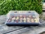 Propagation Tray Set (Perfect Size For Typical Seedling Trays) Carousel 5
