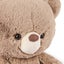 GUND - Forever Friends Kai Bear Taupe 30cm, 1 year+ Carousel 1