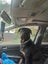 Rottweiler Carousel 4