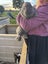 Purebred Flemish giant baby rabbits Carousel 3