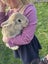 Purebred Flemish giant baby rabbits Carousel 11
