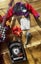 Monster High Fearbook Toralei Carousel 4