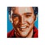 LEGO Art 31204 Elvis Presley The King 3445 Pieces, For Ages 18+ [31204] Carousel 4
