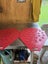 Divider/ Rounder Carousel 3