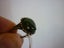 GREENSTONE & SILVER VINTAGE RING Carousel 5