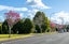 gallery view thumbnail