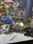 Juwel 450L full set up - CLOWN LOACHES Carousel 12