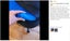 Brand New Office Chair Gaming Computer PC Chair Seat Cushion *Clearance* Carousel 3