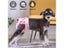 Dog Washable Physiological Pants Dogs Shorts Panties For Small Large Doggy Carousel 5