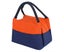 Portable Insulated Canvas Lunch Bag Tote Handbag Food Storage Container (Oran Carousel 2