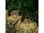 LED Solar Lantern Light Hollow Wrought Iron Projection Light Hanging Lamps Carousel 3