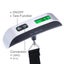 50kg Portable Hanging Scale Electronic Hand Luggage Scale Digital Display Carousel 5