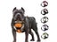 Adjustable Dog Harness Vest With Night Reflective Strip For Small Medium And Carousel 3
