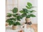 Artificial Turtle Back Leaf High Grade Simulation Of Fake Flowers 18 Fork Carousel 3
