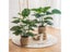 Artificial Turtle Back Leaf High Grade Simulation Of Fake Flowers 18 Fork Carousel 4
