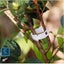 NEW new Plant Support Garden Clips Twine Cages Vine Trellis *Clearance* Carousel 13