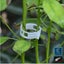 NEW new Plant Support Garden Clips Twine Cages Vine Trellis *Clearance* Carousel 15