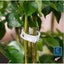 NEW new Plant Support Garden Clips Twine Cages Vine Trellis *Clearance* Carousel 17
