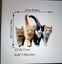 THE CATTAGE-Stunning Cat Heat Transfer For T Shirts, Bags Etc Bring Uniqueness Carousel 5