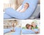 Maternity Pillow Carousel 16