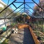 Glasshouse 4mm toughened glass 2570 x 3830 x 2320mm Carousel 9