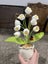 100% handmade lily of the valley basket crochet Carousel 2