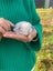 Rabbit cute baby mini lops Carousel 1