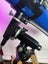 Vintage Carton Telescope Carousel 8