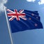 Brand New Brand Zealand Flag NZ Flag *Clearance* Carousel 1