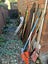 Property Maintenance Tool Set Up. Carousel 17